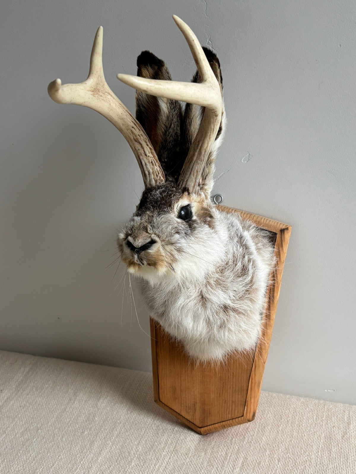 Folk Art Wall Mount "Jackalope"