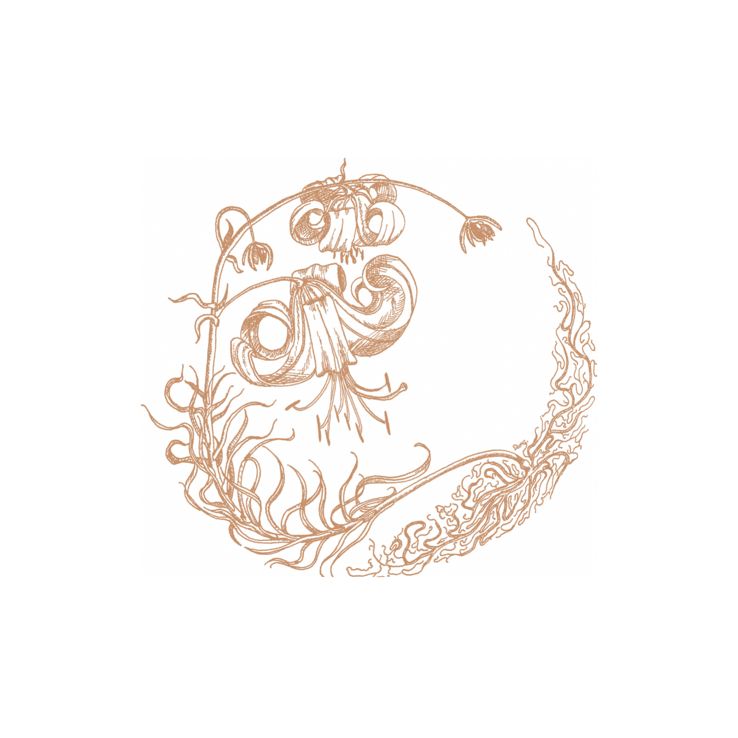 Quondam Redux Gift Card