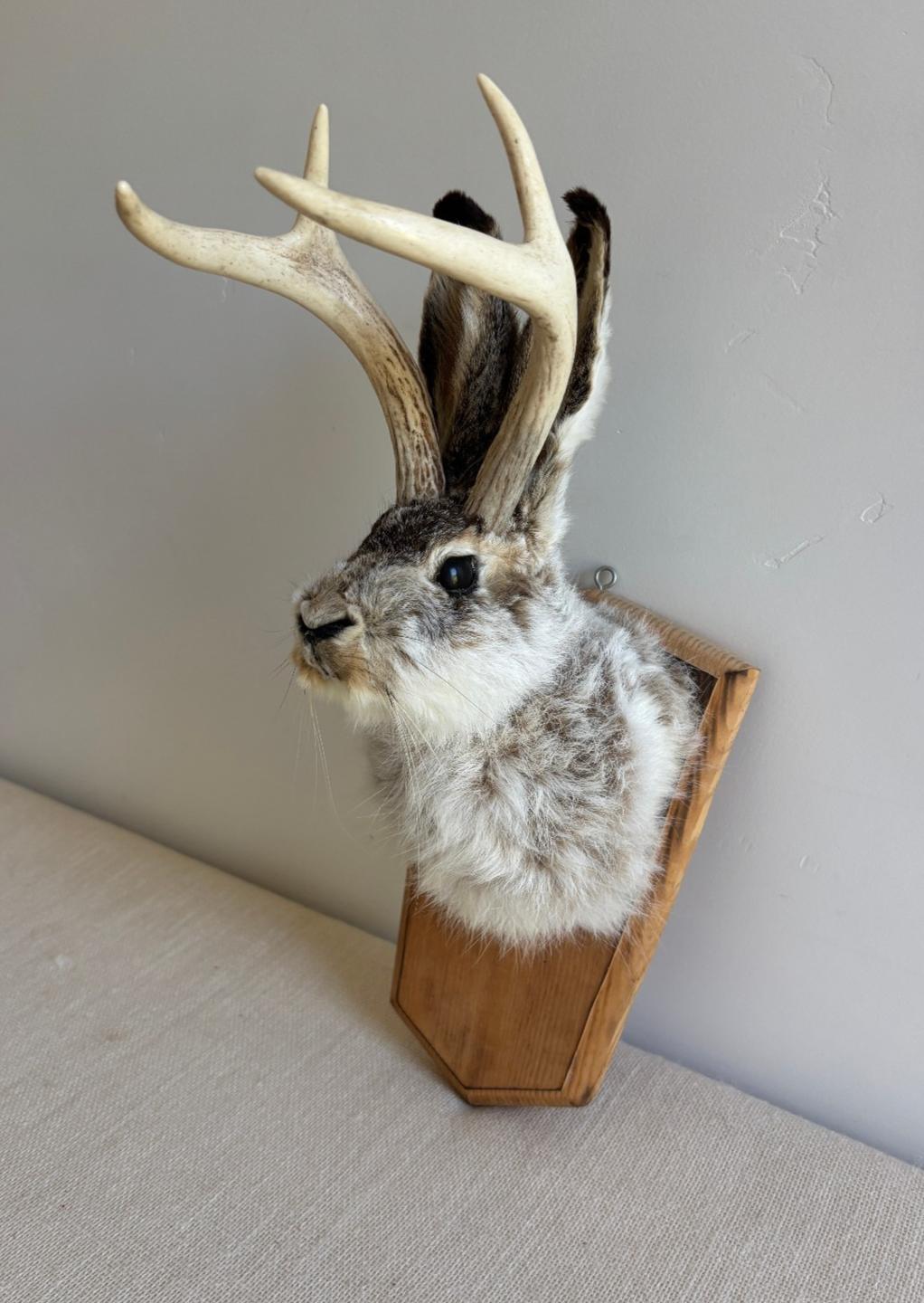 Folk Art Wall Mount "Jackalope"