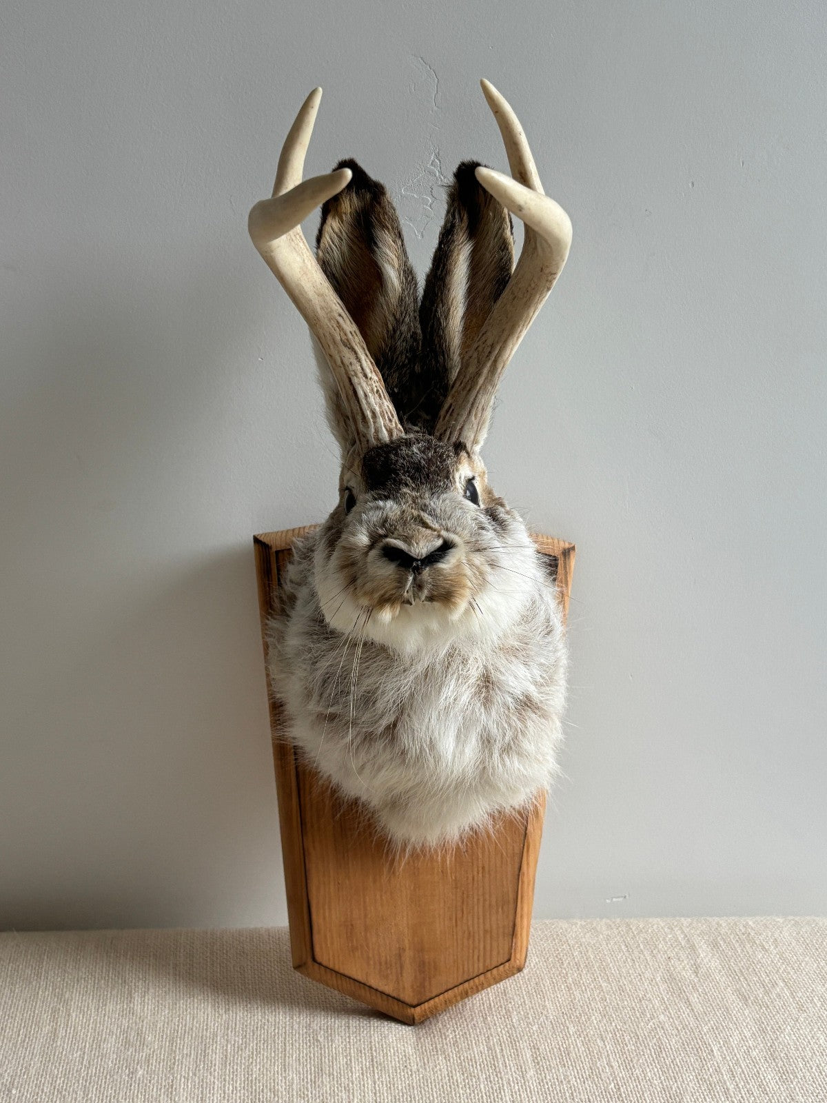 Folk Art Wall Mount "Jackalope"