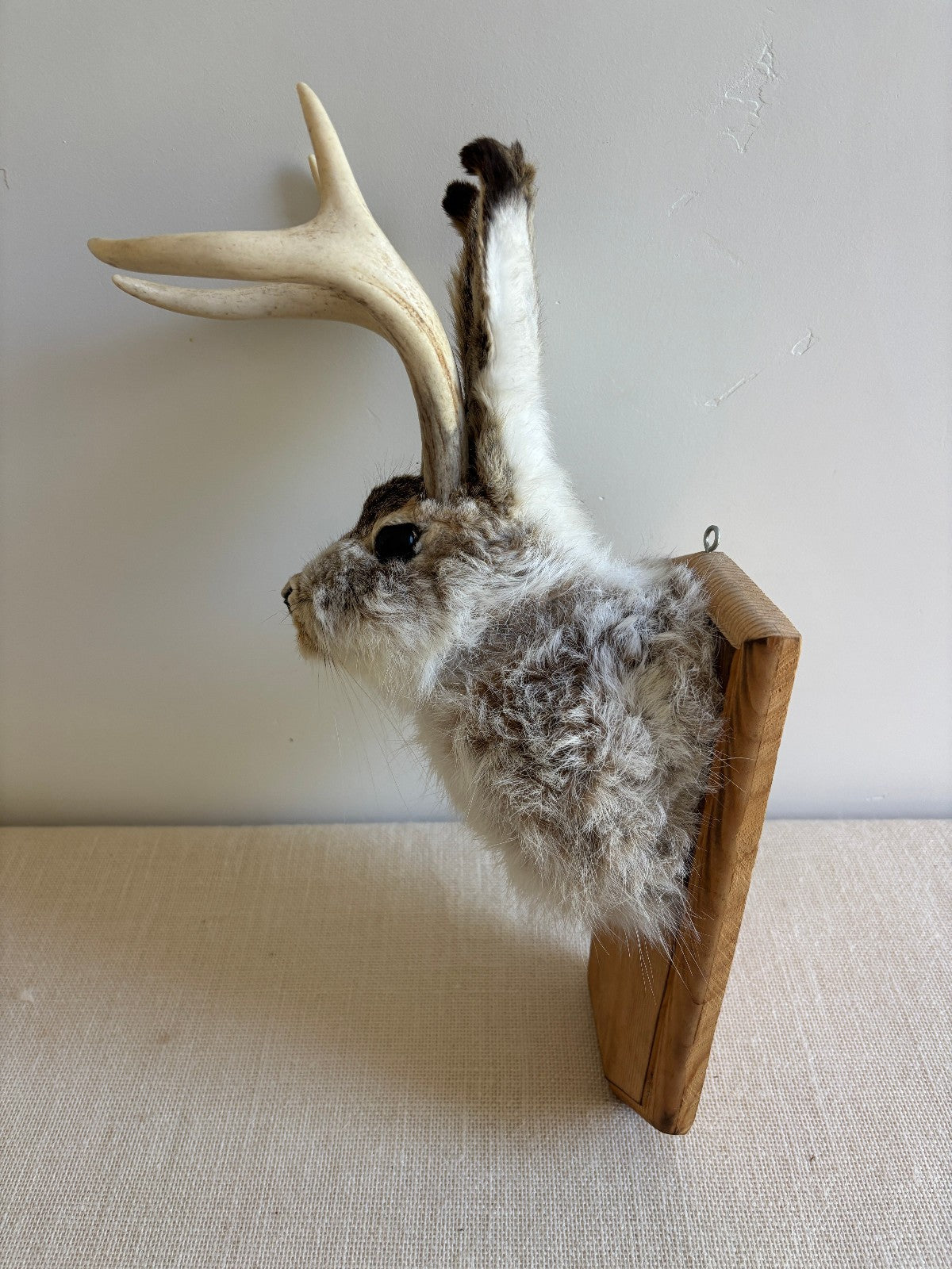 Folk Art Wall Mount "Jackalope"