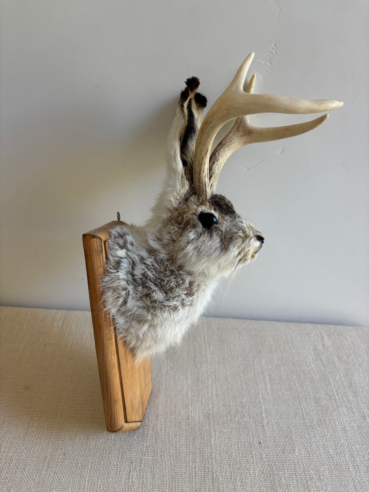 Folk Art Wall Mount "Jackalope"