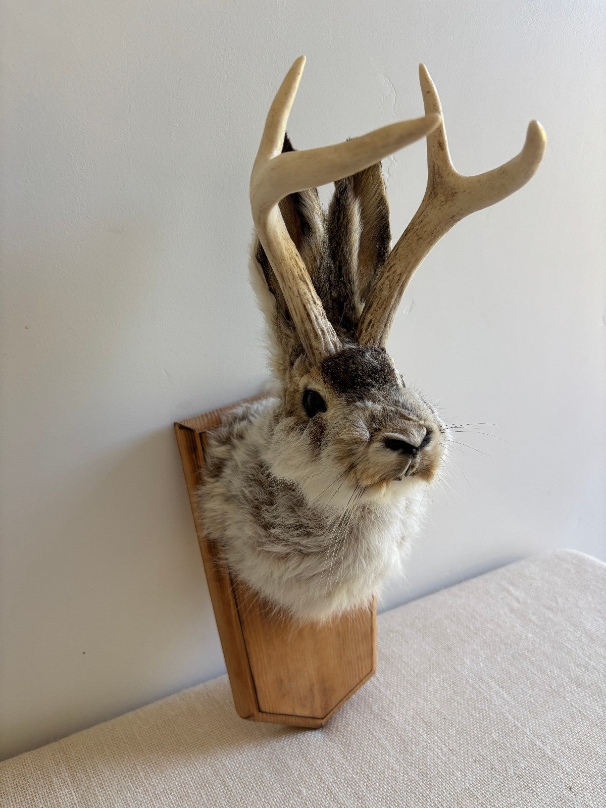 Folk Art Wall Mount "Jackalope"