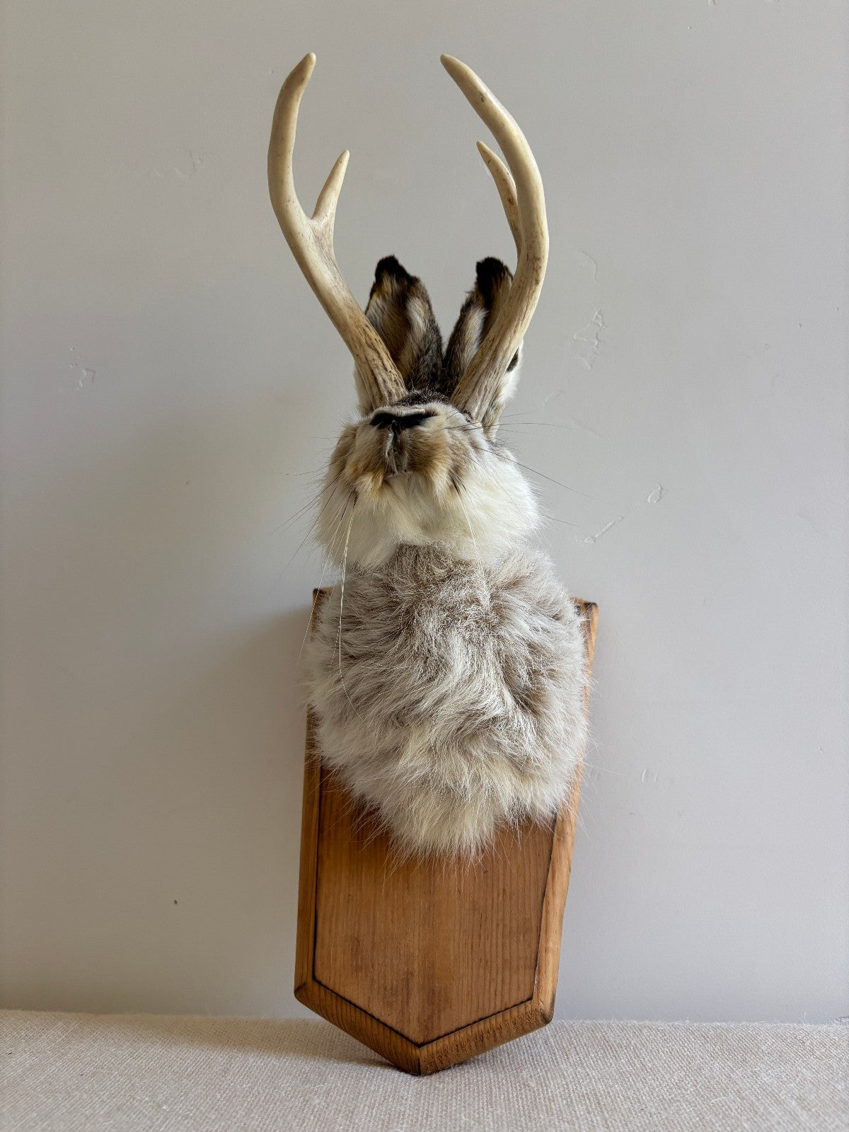 Folk Art Wall Mount "Jackalope"