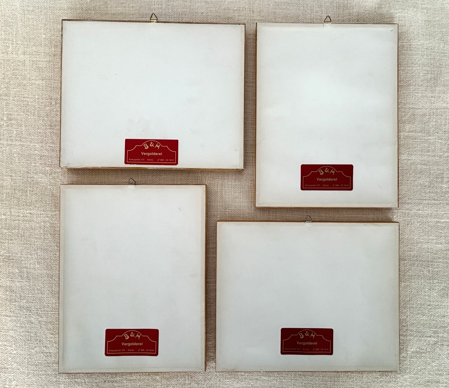 Antique German hand colored Botanical (Fruit) Engravings in Gilt Frames