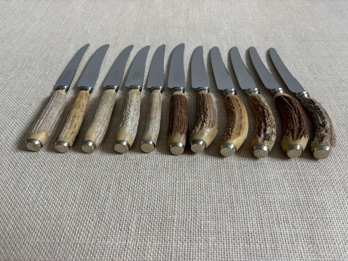 Vintage Sheffield English Antler Horn Handle Stainless Steak Knife Set of 11