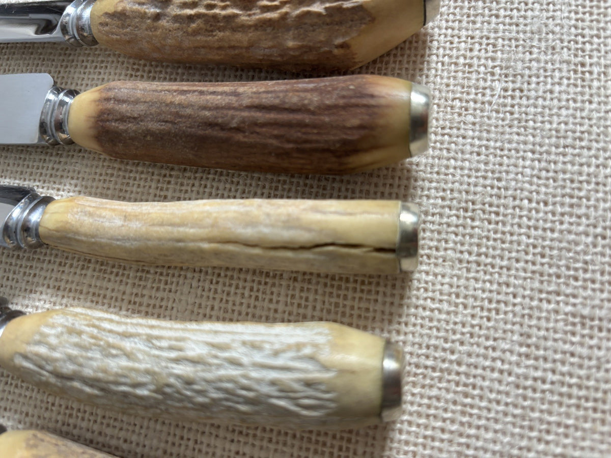 Vintage Sheffield English Antler Horn Handle Stainless Steak Knife Set of 11