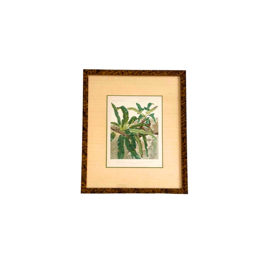 Antique Botanical Print Tropical Ferns by James Britten 1880 in Burlwood Frame